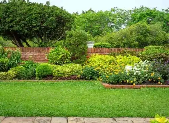 landscaping services Calvert Beach